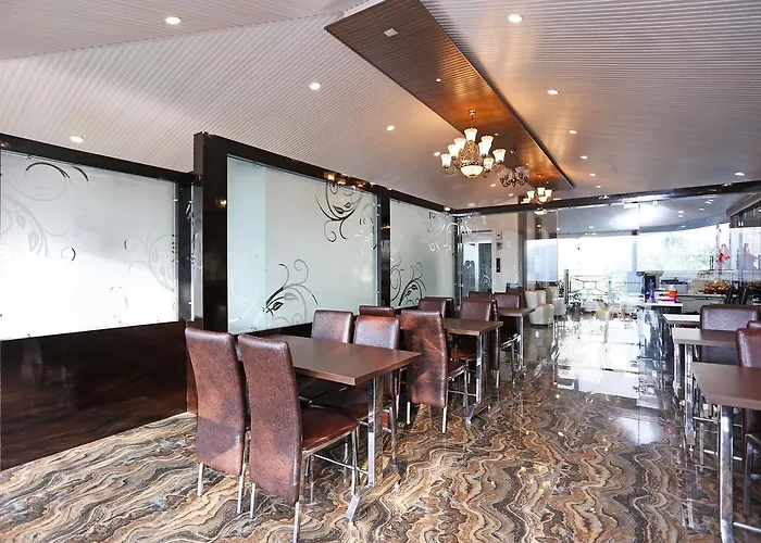 Oyo 10076 Hotel Skylark Mussoorie