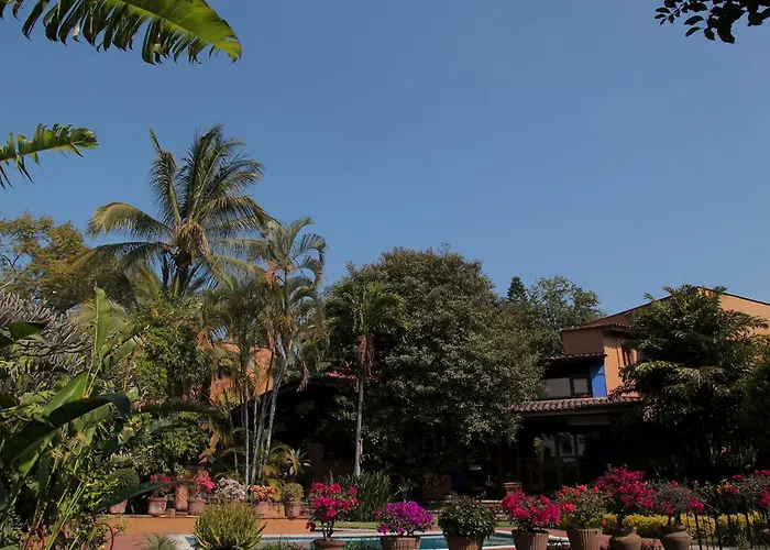 Orchidelirium Casa Hotel & Salud Estetica Cuernavaca