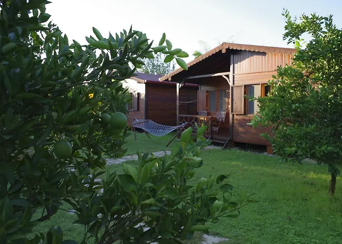 Ozge Bungalow Hotel Çıralı