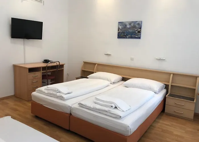 Pension Vera Viena