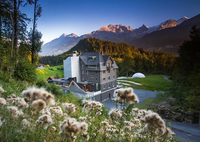 Apart Hotel Wetterhorn Hasliberg