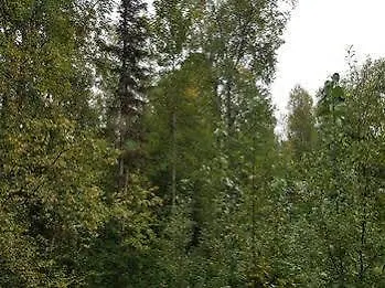 Talkeetna Hideaway Guesthouse