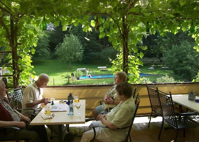 Hotel Dampfmühle Enkirch