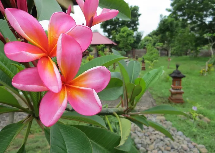 Hotel Tegal Sari, Pemuteran- North Bali