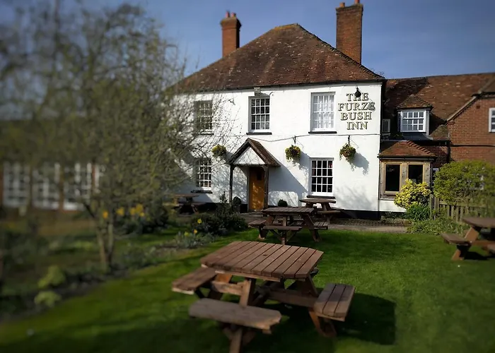 The Furze Bush Inn Newbury 