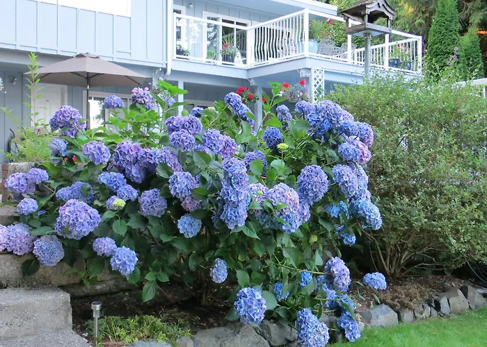 Caprice Bed & Breakfast Gibsons