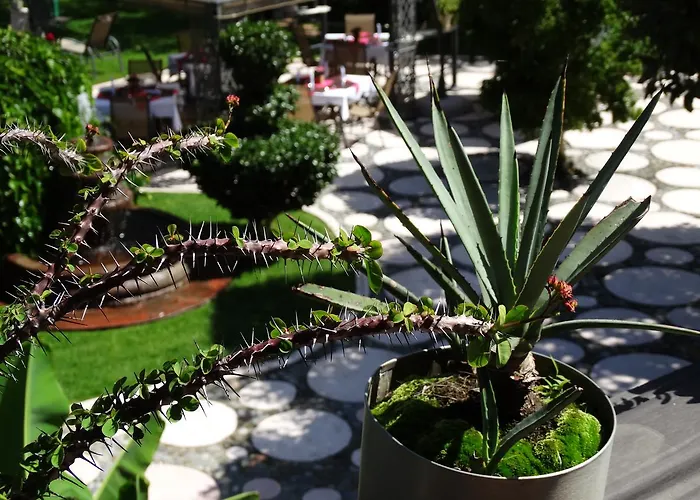Paraiso Hotel Garden & Spa Cuernavaca