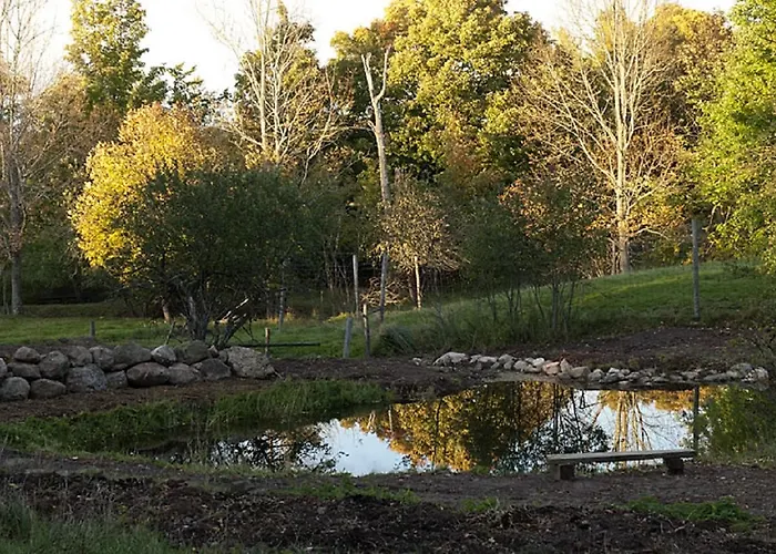 Green Dragon Organic Farm And B&B Tatamagouche