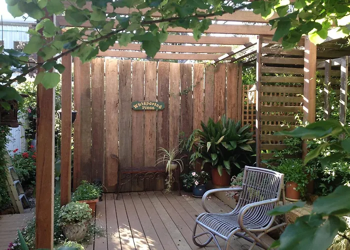 Whispering Pines Bed And Breakfast Collie