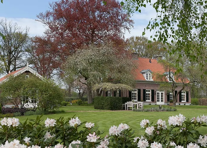 Picabella - B&B En Atelier Laren 