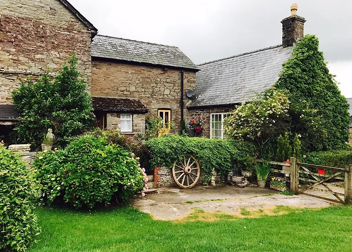 The Draen Bed And Breakfast Brecon