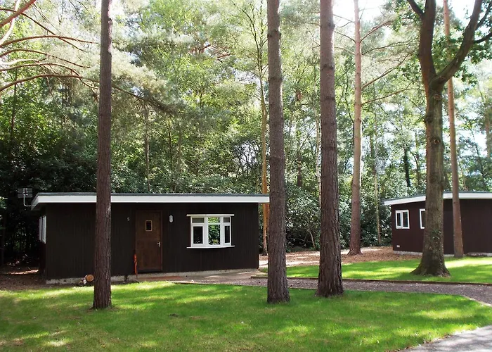 California Chalet & Touring Park Wokingham