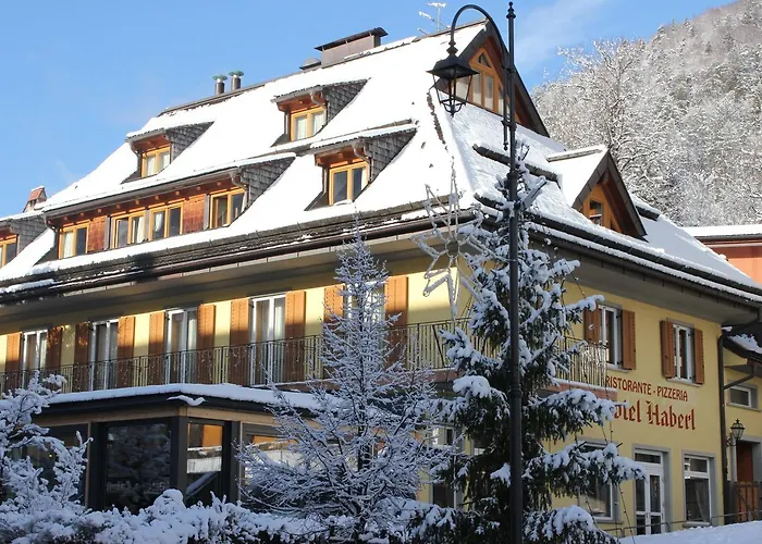 Hotel Haberl Tarvis