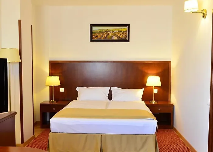 Hotel Miraj Ramnicu Valcea