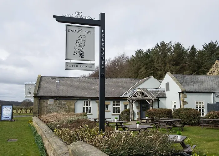 The Snowy Owl By Innkeeper'S Collection Cramlington
