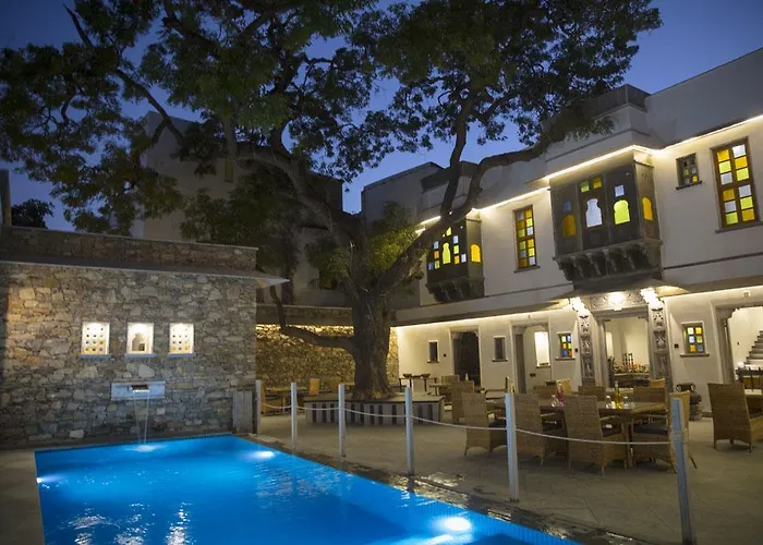 The Neem Tree Bed & Breakfast Udaipur