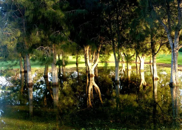 Lure Bed And Breakfast Normanville