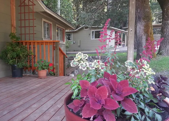 China Creek Cottages Willow Creek