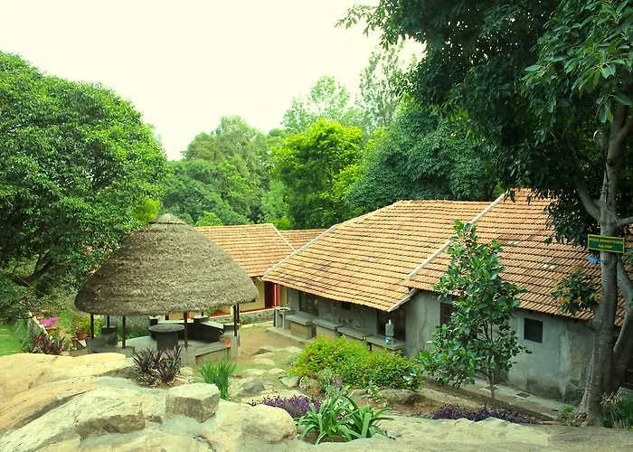 The Last Shola Yercaud
