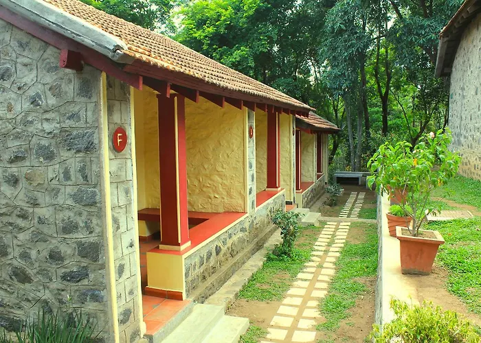 The Last Shola Yercaud