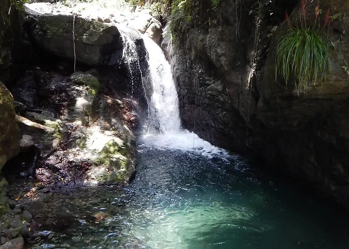 Portland Riverside Retreat Port Antonio