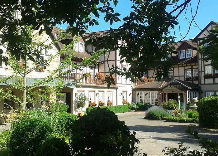 Hotel Burg-Mühle Gelnhausen