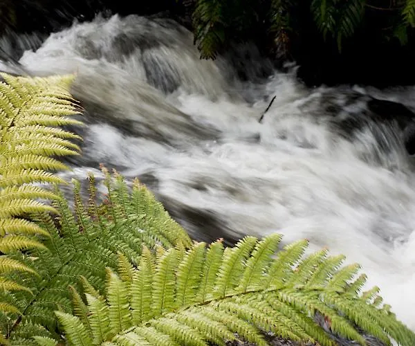 Frankie & Hugh'S Bed & Breakfast Ohakune