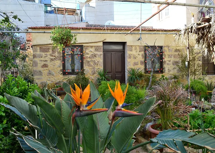 Mystery Garden Guest House Gazimağusa