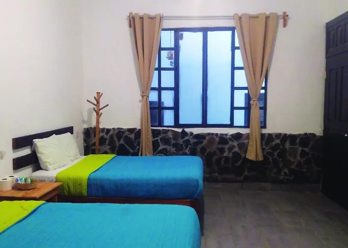 Hotel Falcon Tamasopo