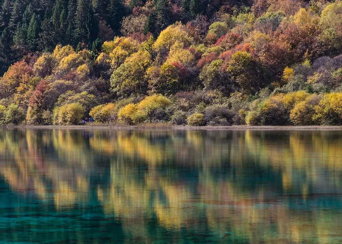 Banyan Tree Jiuzhaigou