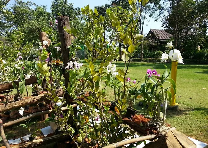 Banana Resort & Spa บ้านเก่า
