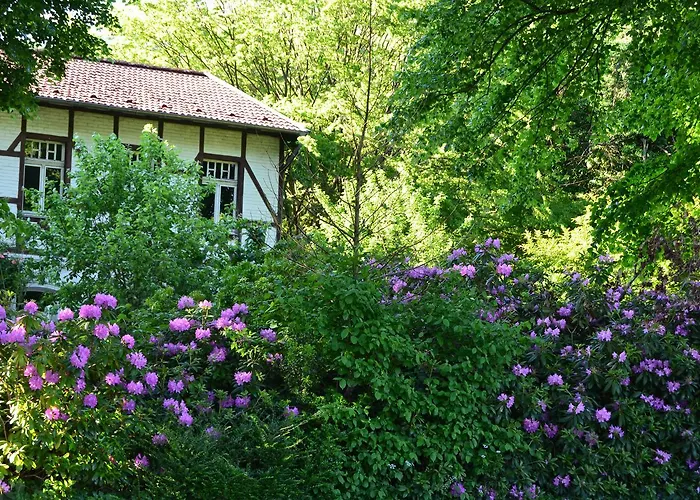 Hotel Gottesgabe Rheine