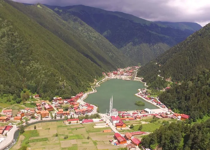 Zeren Apart Bungalov Uzungöl