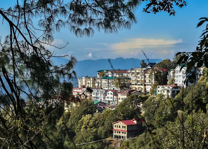 Dhanlaxmi Apartments Shimla