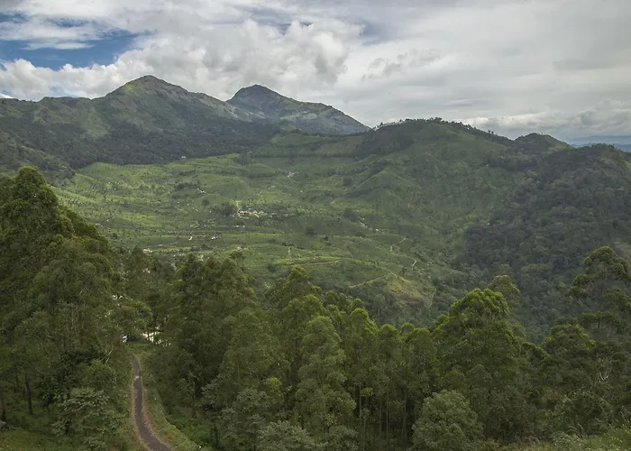 Mount Valley Resort - A Secluded Getaway Munnar