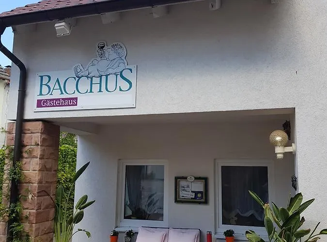 Gästehaus Bacchus Wachenheim an der Weinstraße