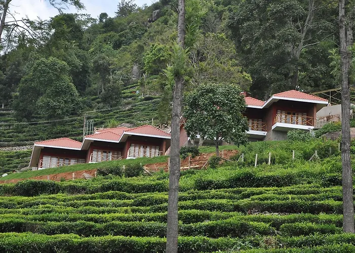 Hanging Huts Resorts Kotagiri