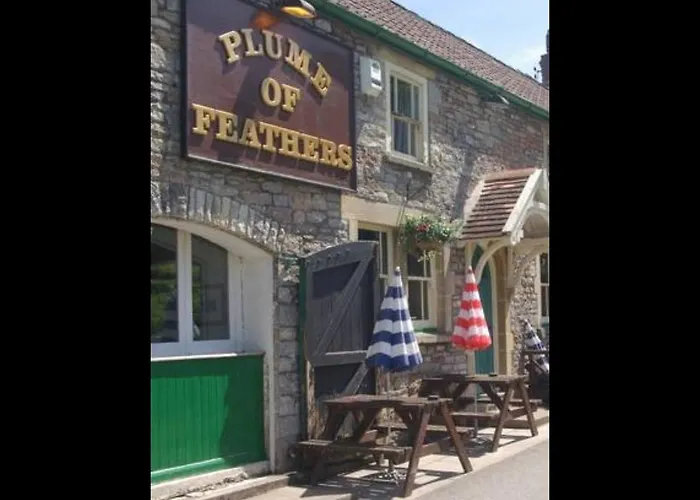 Plume Of Feathers Blagdon