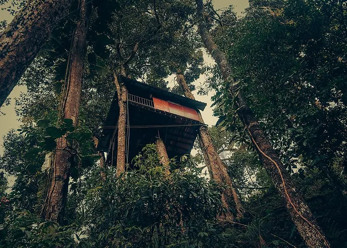 Ela Ecoland Nature Retreat Munnar