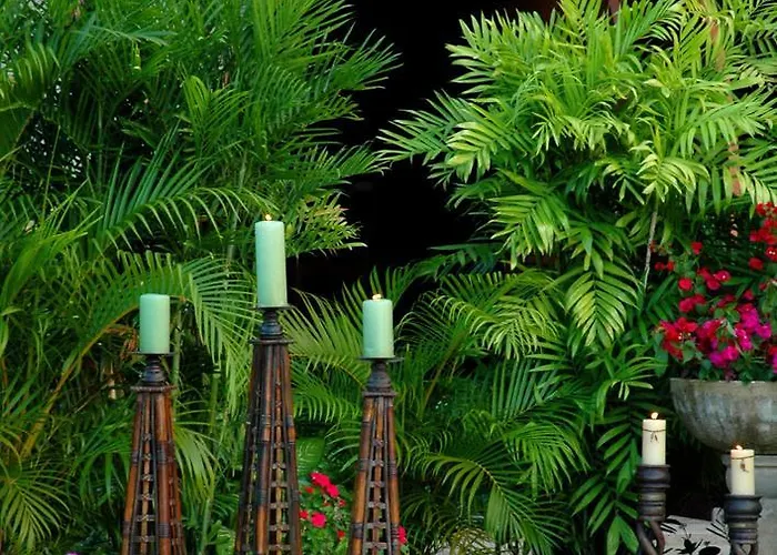 Almond Tree Hotel Resort Corozal