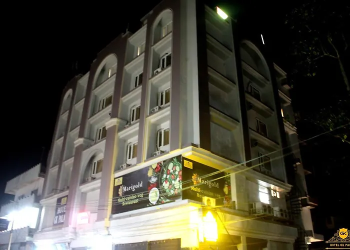 Gk Palace Pure Veg Hotel Jorhat