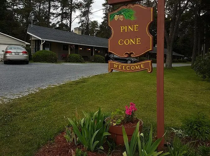 Pinecone Motel Sussex