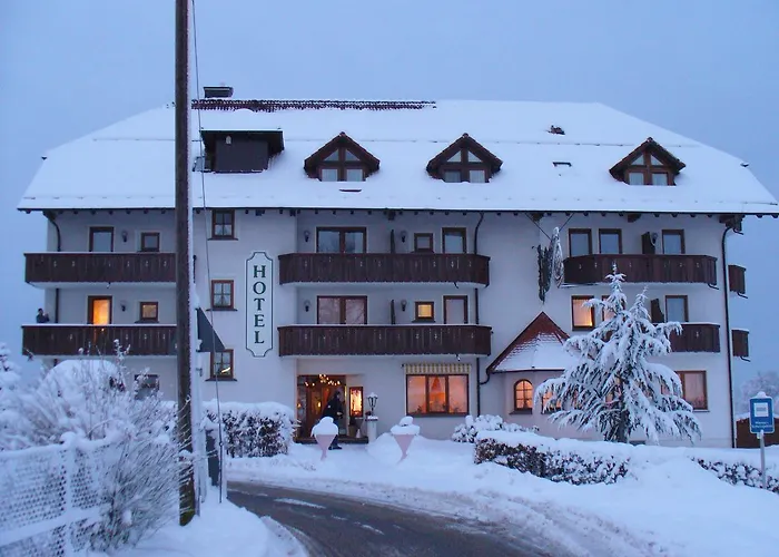Hotel Drei Konige Schramberg