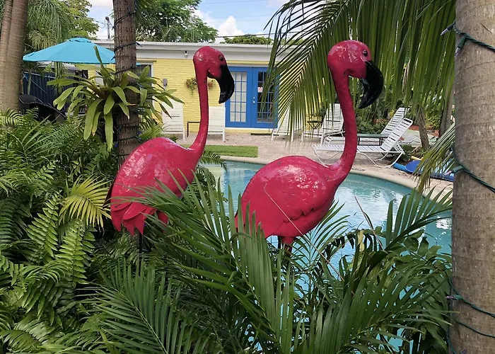 Calypso Inn Wilton Gay Male Resort Wilton Manors