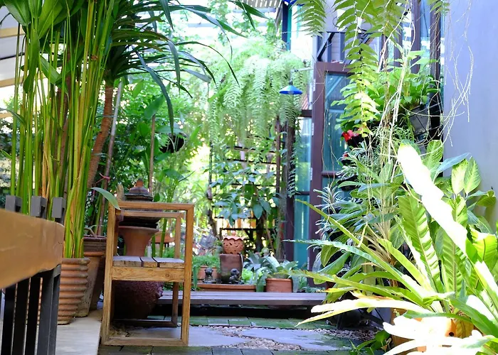 The White Elephant Home Chiang Mai