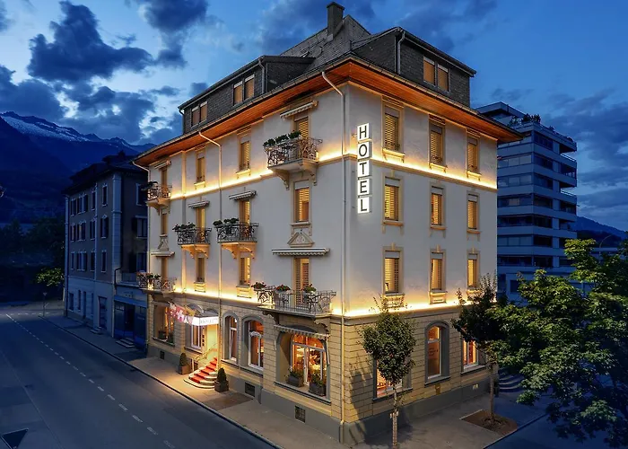 Hotel Ambassador Brig