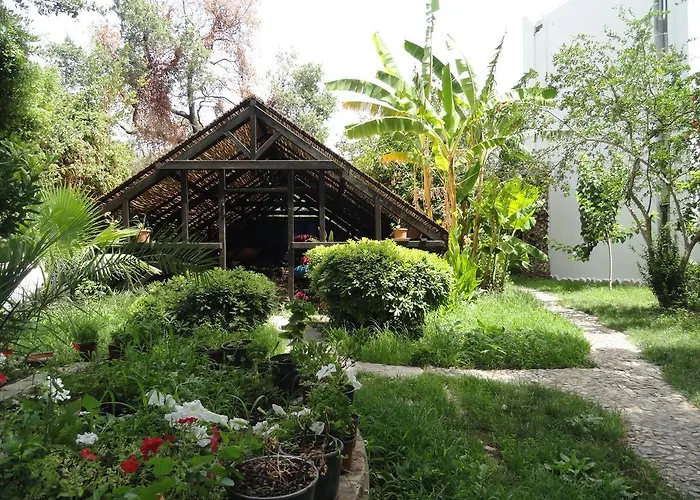 Ece "Vegan"Hotel Bodrum Golturkbuku