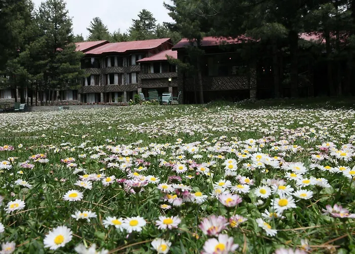 Senator Pine N Peak Hotel Pahalgam