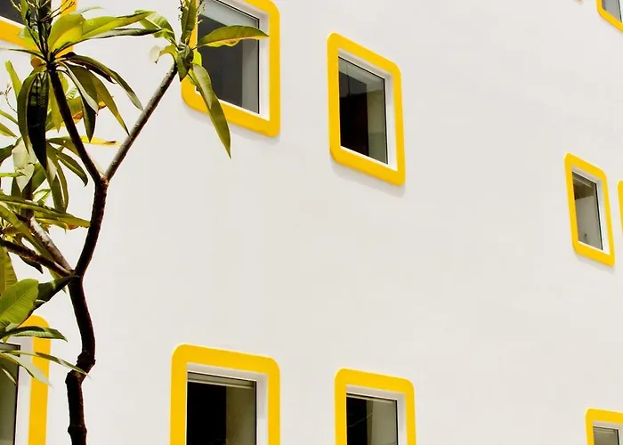 Bloomrooms @ Link Road New Delhi