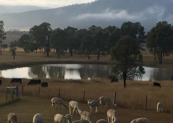 Starline Alpacas Farmstay Resort Broke